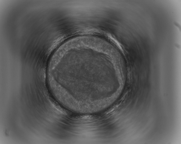 X0000091000059200708301343