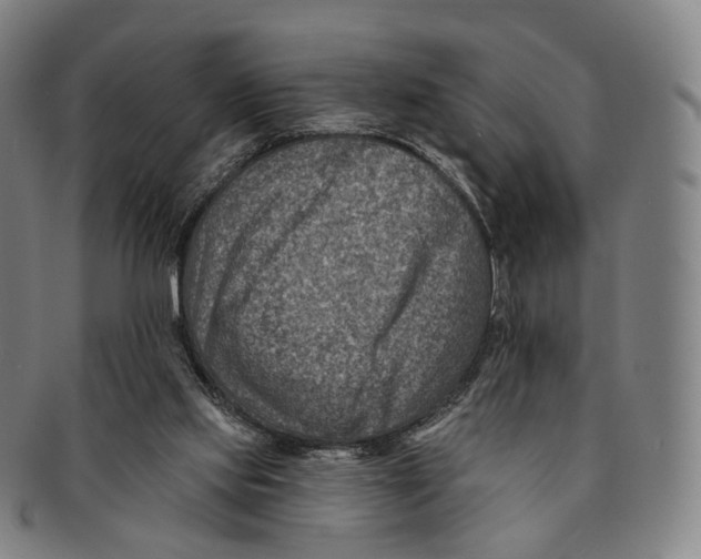 X0000091000061200708301343