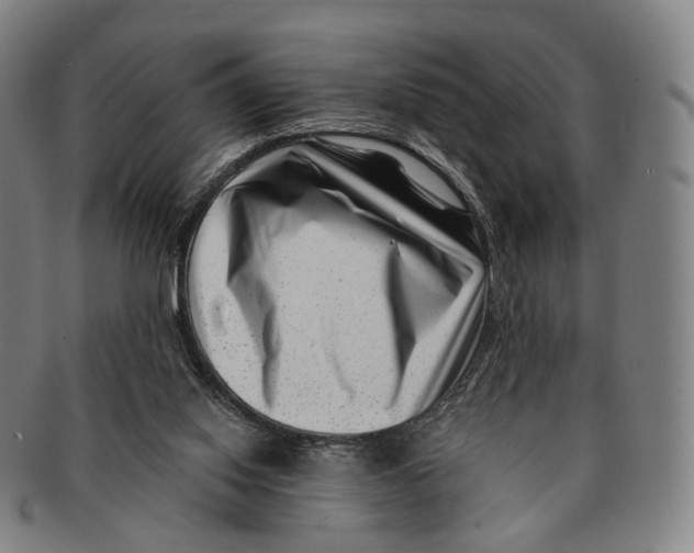 X0000091000062200708301343