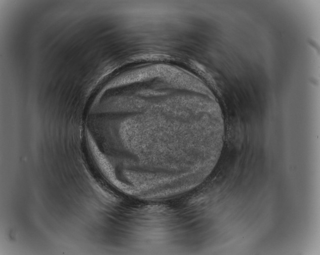 X0000091000063200708301343