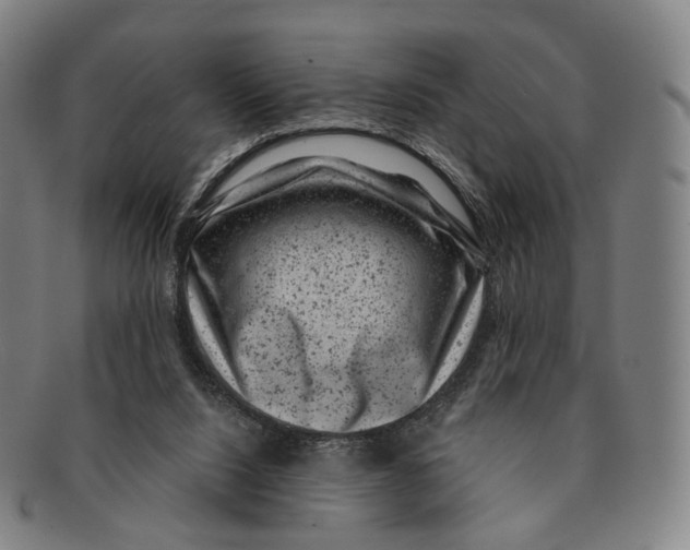 X0000091000064200708301343