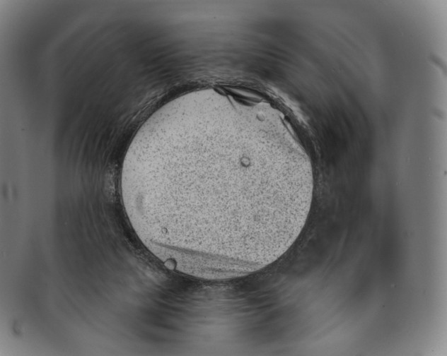 X0000091000065200708301343