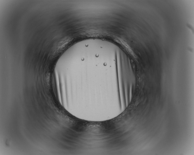 X0000091000066200708301343