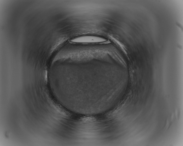 X0000091000067200708301344