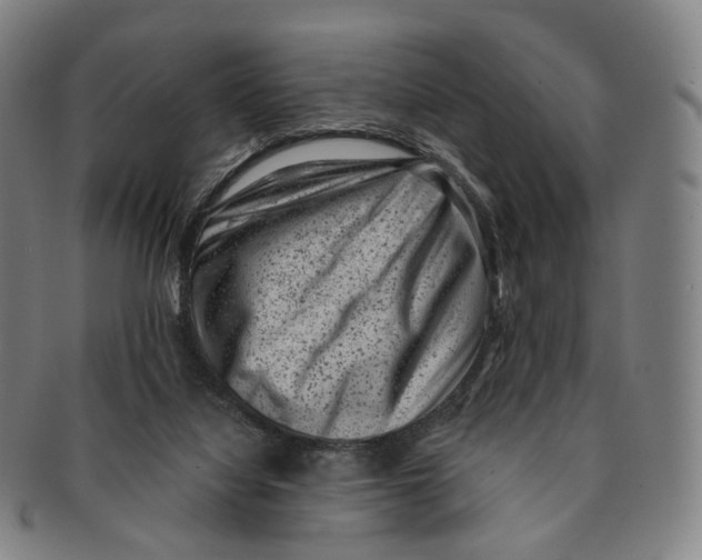 X0000091000068200708301344
