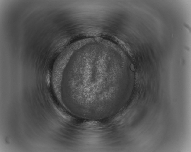 X0000091000069200708301344