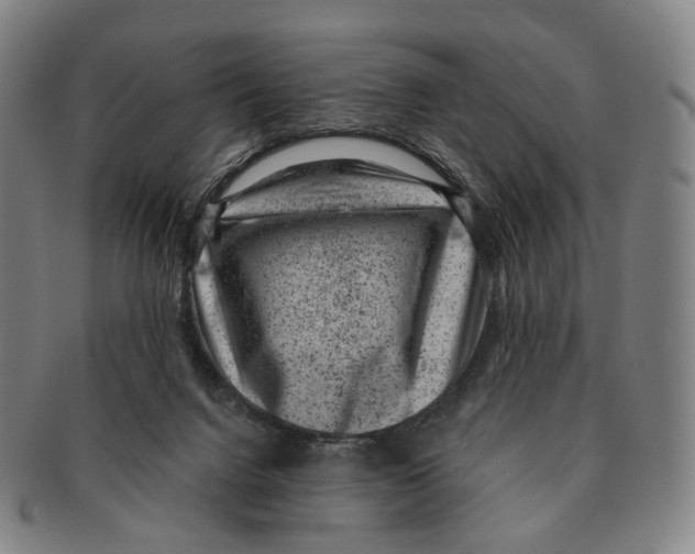 X0000091000072200708301344