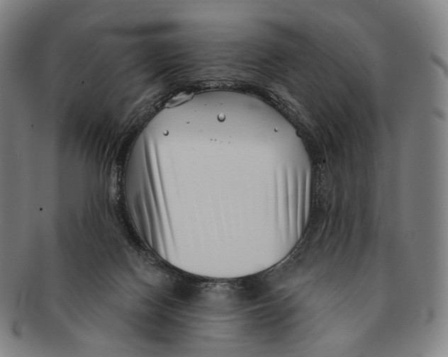 X0000091000074200708301344