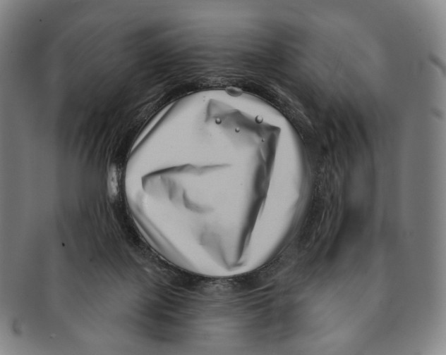 X0000091000075200708301344