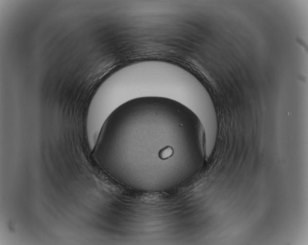 X0000091000076200708301344