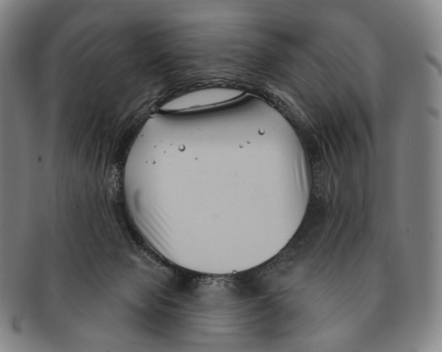 X0000091000077200708301344