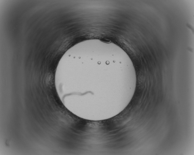 X0000091000079200708301344