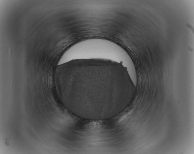 X0000091000080200708301344
