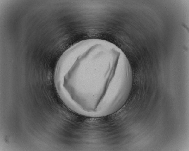 X0000091000082200708301344