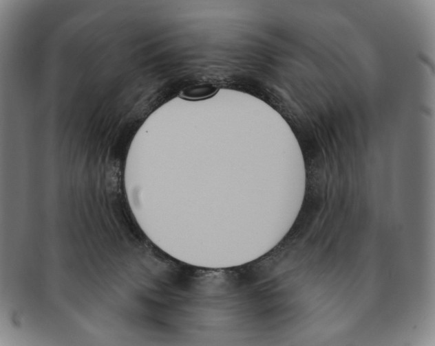 X0000091000083200708301344