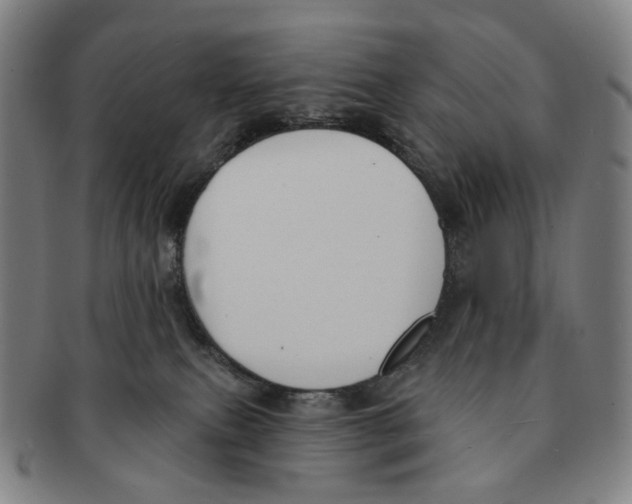 X0000091000087200708301344