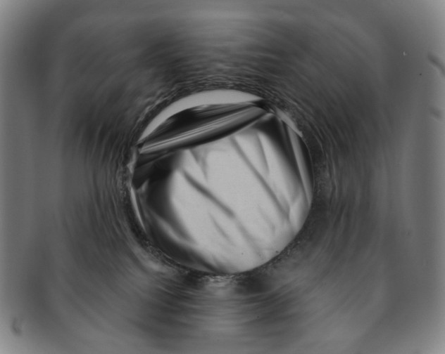 X0000091000088200708301344