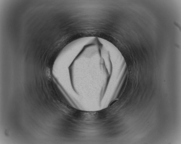 X0000091000089200708301344