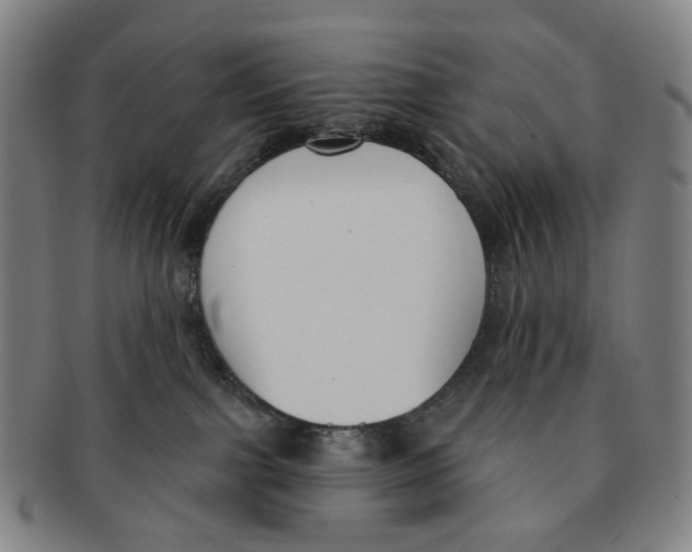 X0000091000091200708301344