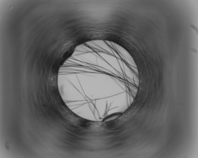 X0000091000096200708301344
