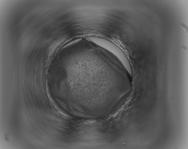 X0000091000097200708301343