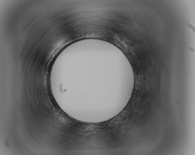 X0000091000098200708301343