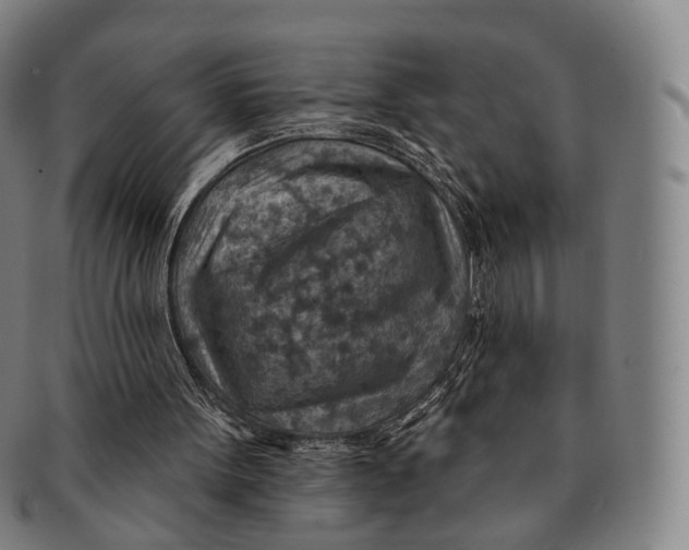 X0000091000099200708301343