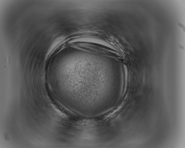 X0000091000101200708301343