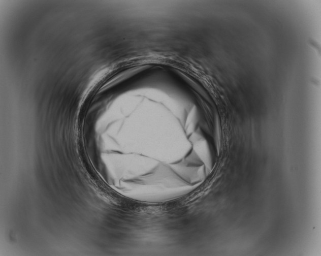 X0000091000102200708301343