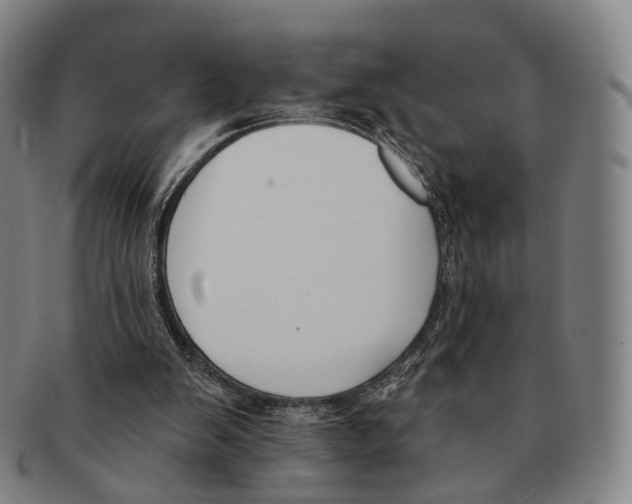 X0000091000103200708301343