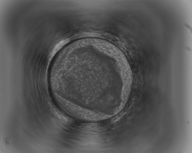 X0000091000104200708301343