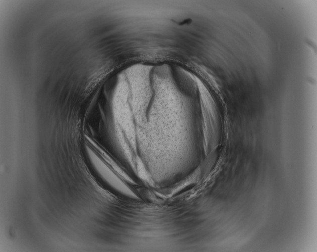 X0000091000105200708301343