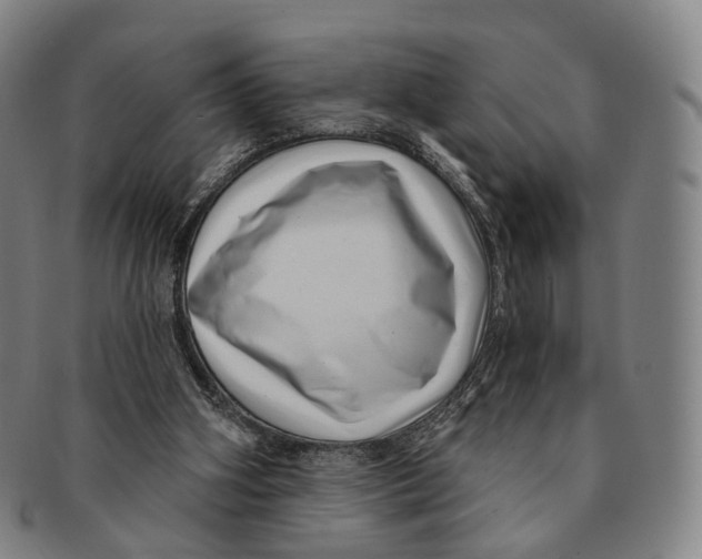X0000091000106200708301343