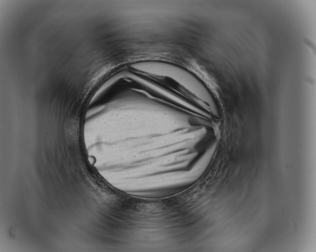 X0000091000107200708301343