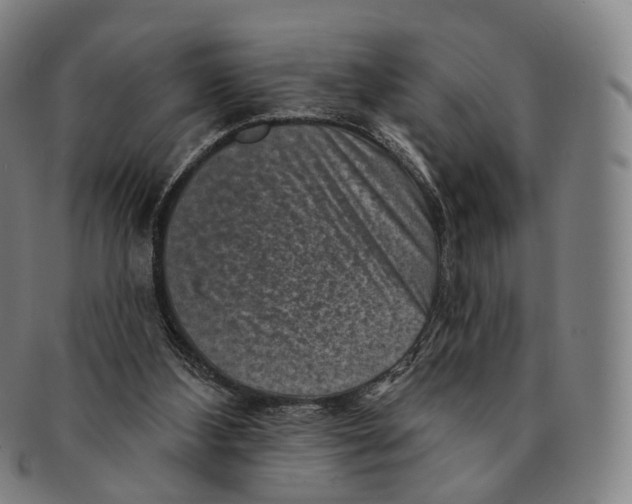 X0000091000108200708301343