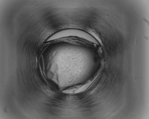 X0000091000109200708301343
