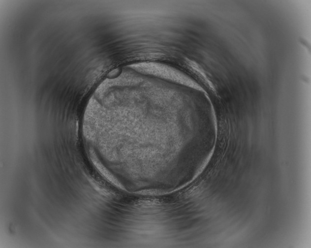 X0000091000110200708301343