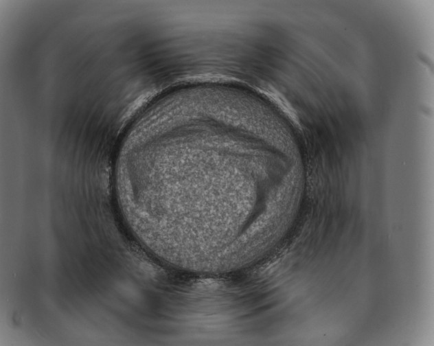 X0000091000111200708301343
