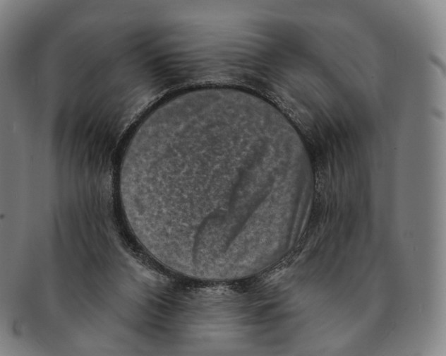 X0000091000112200708301343