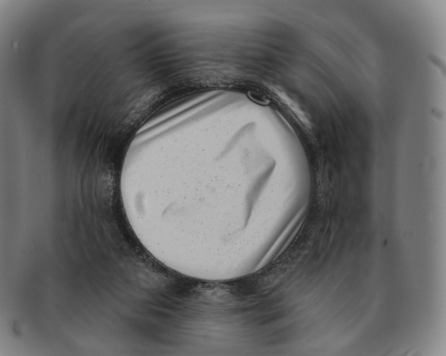 X0000091000113200708301343