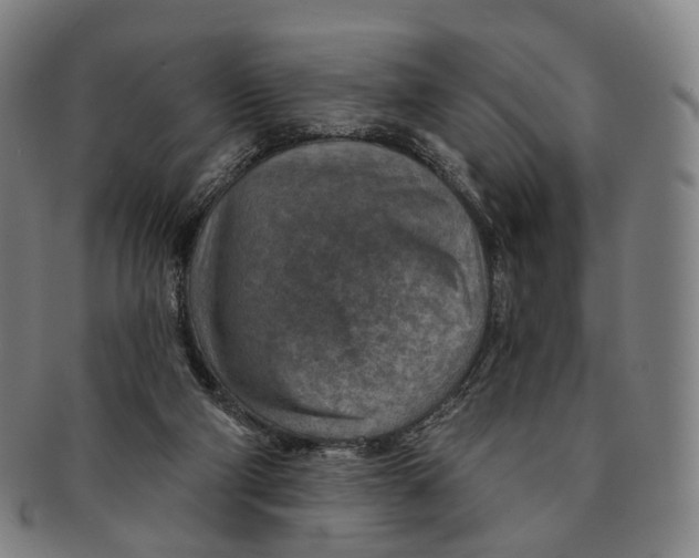 X0000091000114200708301343