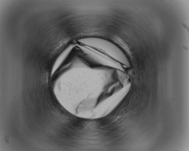 X0000091000115200708301343