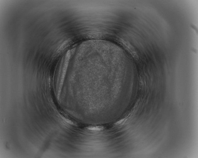 X0000091000117200708301343