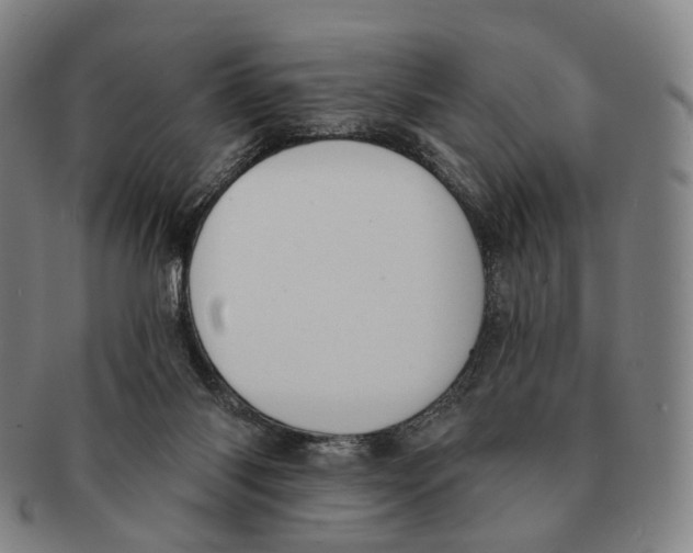 X0000091000118200708301343