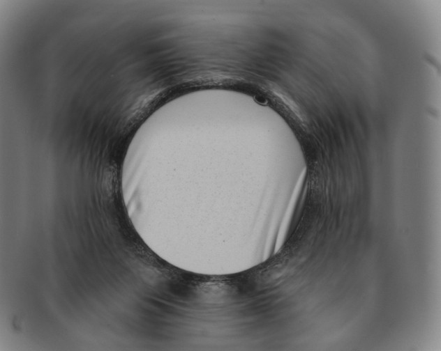 X0000091000119200708301343