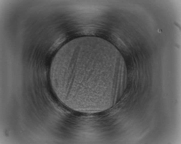 X0000091000120200708301343