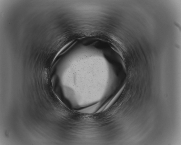 X0000091000121200708301343