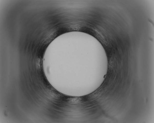 X0000091000122200708301343