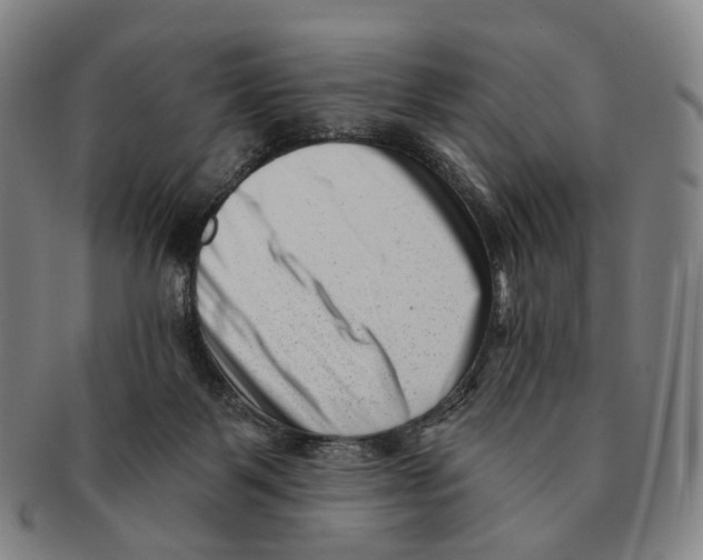 X0000091000123200708301343