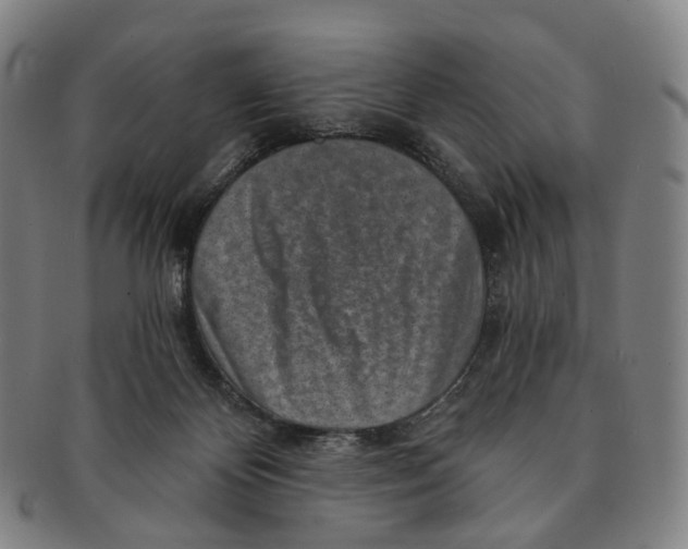 X0000091000124200708301343